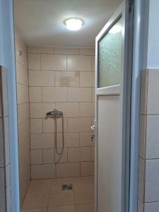 een badkamer met een douche en een glazen deur bij Cabanele Valea Bradului in Izvoru Mureşului