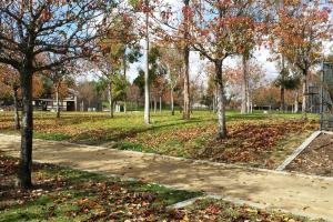 a park with trees with leaves on the grass at 1 Bedroom Mini Apartment in Otay Ranch in Chula Vista