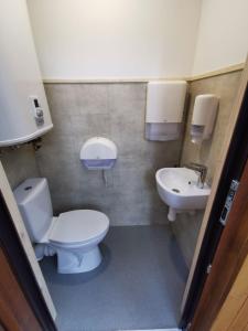 a bathroom with a toilet and a sink at Meža namiņi Sprīdīši in Tērvete