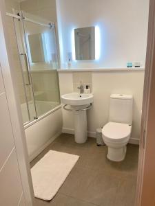 uma casa de banho com um WC, um lavatório e um chuveiro em Inverness Highland Apartment em Inverness