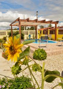 a yellow flower in front of a swimming pool at Pousada dos Sonhos in Barra