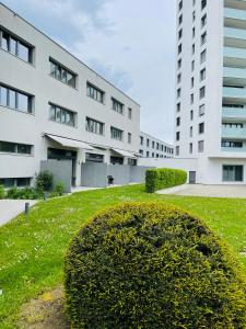 un edificio con un cespuglio di fronte a un edificio di Hotel Swiss Bellevue a Kreuzlingen