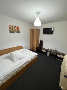 1 dormitorio con 1 cama grande y TV de pantalla plana en Casa NIB Calimanesti en Călimăneşti