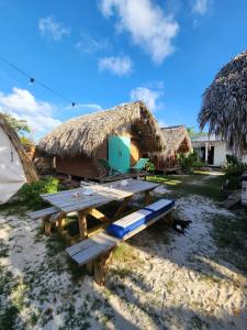 Mano Juan的住宿－Saona lodge，海滩上的野餐桌和小屋