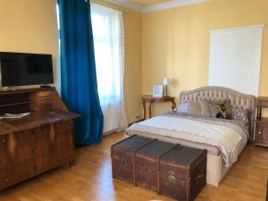 オッフェンブルクにあるPension Villa Luiseのベッドルーム(ドレッサー付きベッド1台、テレビ付)