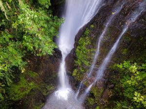 una cascada en medio de un bosque en MuchoSur Quimbaya, en Quimbaya