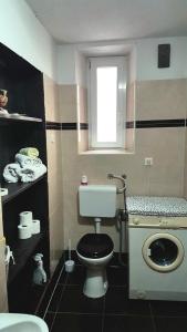een kleine badkamer met een toilet en een raam bij Karla Babić in Senj