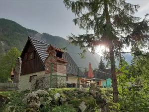 a house on top of a hill with a tree at Cottage Lepena in Soča