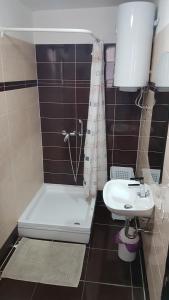 a bathroom with a toilet and a sink and a shower at Karla Babić in Senj +8 photos