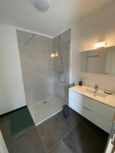 a bathroom with a shower and a sink at Le Pré sous l'eau - NATURA in Anhée