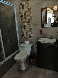 a bathroom with a toilet and a shower and a sink at La Casa de la Abuela in Sucúa