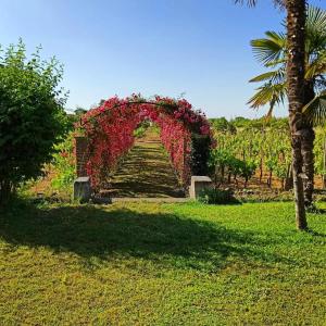 un arco cubierto de flores rojas en un campo en Orlando, quadrupla con bagno privato en Mascalucia