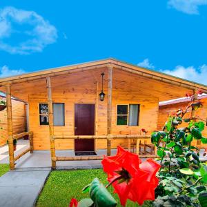 a log cabin with a red flower in front of it at Apart Hotel El Paraíso de Barranca in Barranca +36 photos