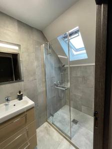 a bathroom with a shower and a sink at Beau duplex au pied des Vosges in Uffholtz