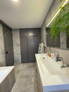 La salle de bains est pourvue d'un grand lavabo blanc et d'une baignoire. dans l'établissement Beau duplex au pied des Vosges, à Uffholtz
