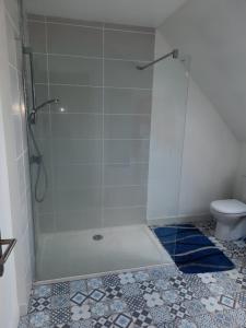 y baño con ducha y aseo. en Breizh Horizon, en Tréméven