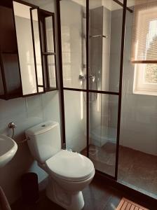 La salle de bains est pourvue de toilettes, d'une douche et d'un lavabo. dans l'établissement Hillside Nagymaros, à Nagymaros