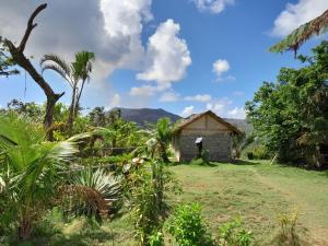 a house in the middle of a field with trees at Castle Tree House And Bungalow in White Sands