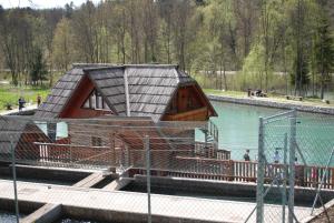 Příroda nedaleko apartmánu
