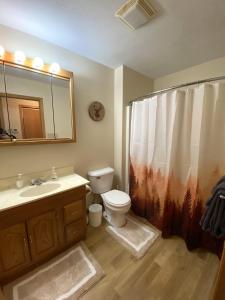 a bathroom with a toilet and a sink and a mirror at North Country Retreat in Saint Ignace