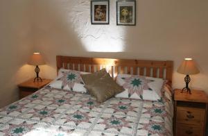 肯梅爾的住宿－Charming Two Bedroom Cottage with Magnificent Sea Views. 10 minutes from Kenmare，一间卧室配有一张带被子和两盏灯的床。