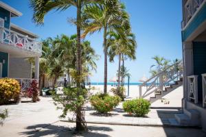 a resort with palm trees and the beach at Brisa Oceano Resort in Placencia
