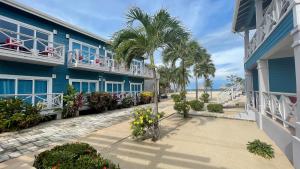 a blue building with palm trees next to a beach at Brisa Oceano Resort in Placencia