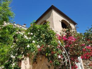Zahrada ubytování Bed and Breakfast Tenuta Palmieri ONLY ADULT