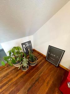 Fotografie z fotogalerie ubytování Suite campestre en Guatavita v destinaci Guatavita