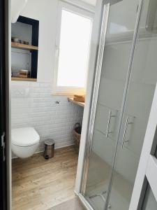 uma casa de banho com um WC e uma cabina de duche em vidro. em Le Jean Bart - Lille em Lille