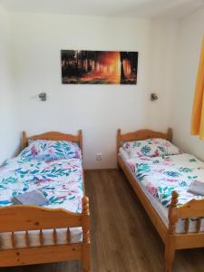 1 dormitorio con 2 camas y un cuadro en la pared en Apartmány Horní Bečva, en Horní Bečva