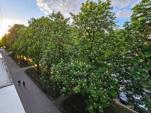 widok na drzewo z ludźmi chodzącymi pod nim w obiekcie Komfortowo i cicho - Apartament w Krakowie