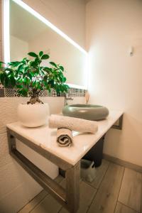 La salle de bains est pourvue d'un lavabo et d'une plante en pot. dans l'établissement Lilie location manapany 4 étoiles, à Petite Île