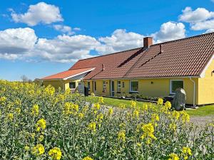 a yellow house with a field of yellow flowers at Holiday home Østervrå II in Østervrå
