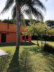 雷孔基斯塔的住宿－Casa quinta LA ESPERADA，房子的院子中的棕榈树