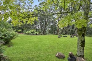 un parc avec de l'herbe verte, un arbre et des rochers dans l'établissement The Teachers Cottage, à Mount Wilson 4 autres photos