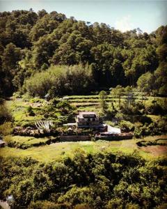 a house in the middle of a field with trees at The Shire of Sagada in Sagada