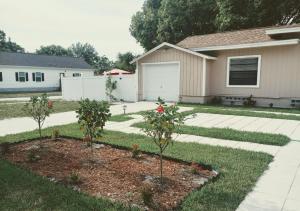 a yard with two trees and a house at cozy nice room in St Petersburg