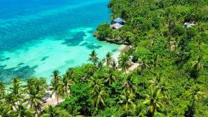 an aerial view of a beach with palm trees and the ocean at Camotes Cay Hideaway in San Francisco