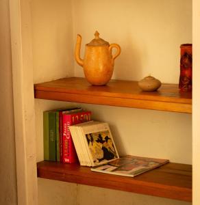 a shelf with books and a vase on it at Casa Fuente en el Corazón Cultural de Guadalajara in Guadalajara