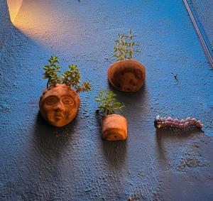 Φωτογραφία από το άλμπουμ του Casa Fuente en el Corazón Cultural de Guadalajara σε Guadalajara