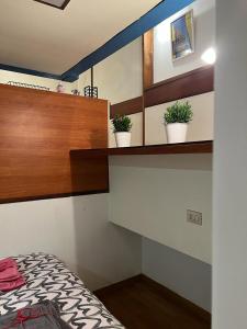una camera da letto con tre piante in vaso su uno scaffale di La Serra Olivetti a Ivrea