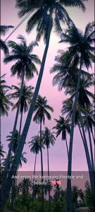 a group of palm trees against a purple sky at Se SE d'Homestay Kelulut Marang in Marang