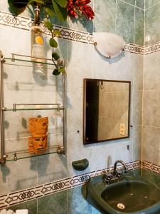 La salle de bains est pourvue d'un lavabo et d'un miroir. dans l'établissement Casa De Los Pájaros - B&B, à Valladolid