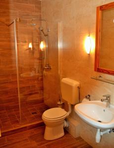 a bathroom with a toilet and a shower and a sink at Fodor Hotel in Gyula