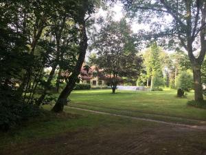 a yard with trees and a house in the background at Bjælkehuset på Harrild Hede in Brande