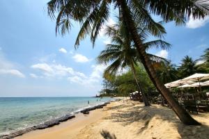 a beach with two palm trees and the ocean at Ancarine Beach Resort in Phu Quoc