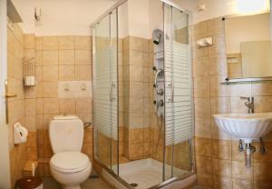 a bathroom with a shower and a toilet and a sink at 9 Musses Hotel Apartments in Skala Mistegnon +151 photos