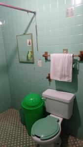 a green bathroom with a toilet and a green trash can at Casa Martha in Ciudad Nezahualcóyotl
