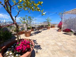 a patio with a bunch of potted plants and flowers at LeAlbe di Sicilia in Palermo